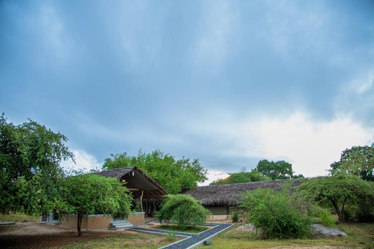 Hotel Yala Wild Hut - Yala Tissamaharama Esterno foto