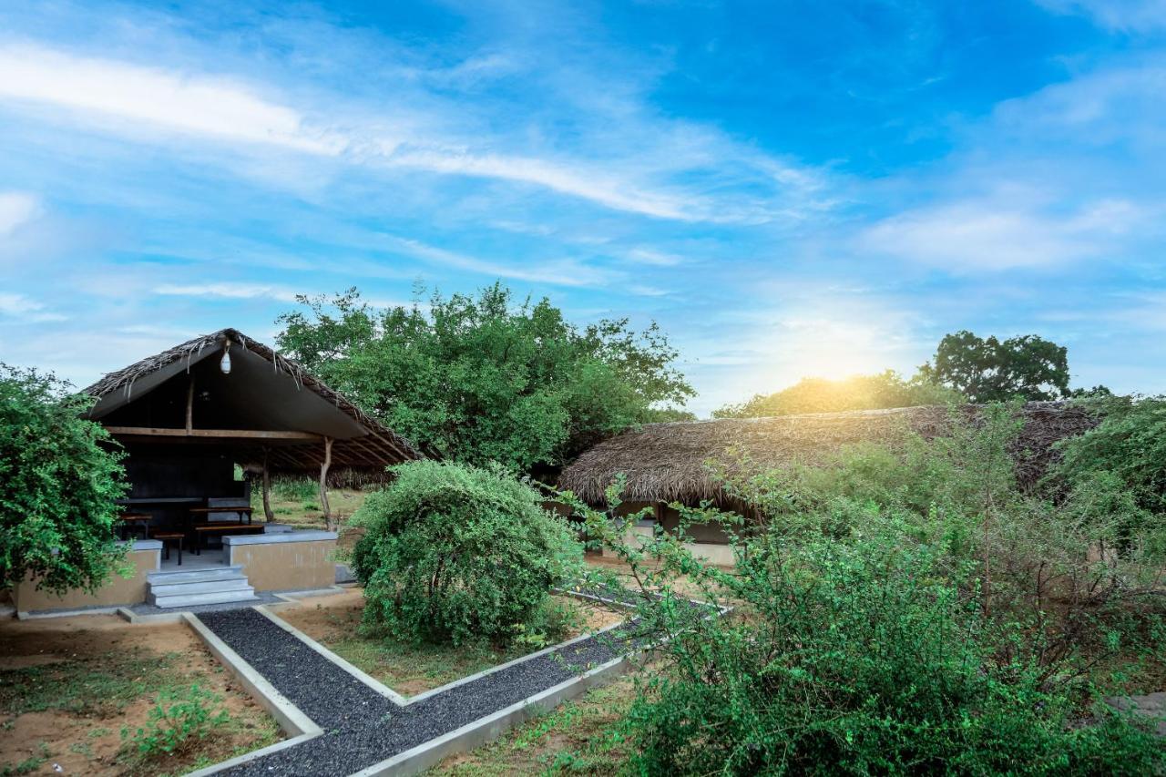 Hotel Yala Wild Hut - Yala Tissamaharama Esterno foto