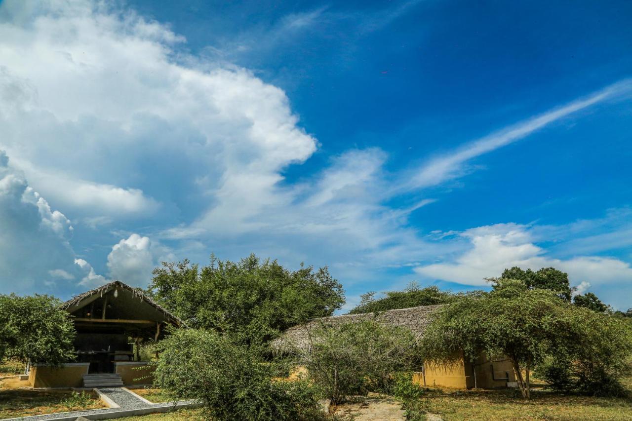 Hotel Yala Wild Hut - Yala Tissamaharama Esterno foto